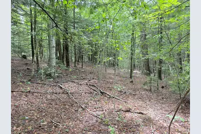 0 John Ford Road, Ashfield, MA 01330 - Photo 1