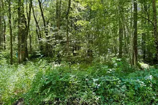 Lot 2 Greenville St, Spencer, MA 01562 - Photo 1