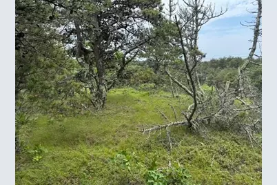 6 Longnook Ln, Truro, MA 02666 - Photo 1