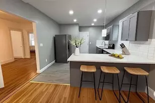 50 Lithgow, Boston, MA 02124 - Photo 1