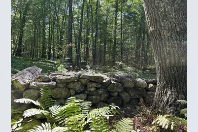 0 Nichewaug Rd, Petersham, MA 01366 - Photo 1