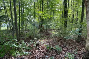 53 4th St, Dracut, MA 01826 - Photo 1