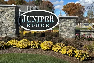 9 Elise Ave, Londonderry, NH 03053 - Photo 1