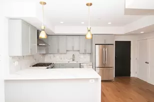 50 Hichborn St, Boston, MA 02135 - Photo 1