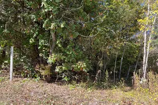 0 Otis Stage Rd, Blandford, MA 01008 - Photo 1