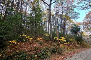 0 Cooleyville Rd, Shutesbury, MA 01072 - Photo 1