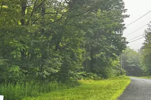 Lot 3 Lafayette Dr, Peru, MA 01235 - Photo 1