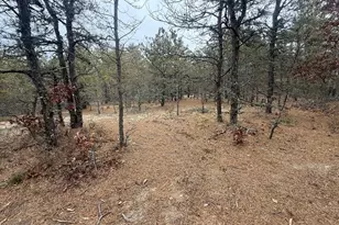 0 Ash Ct, Dennis, MA 02660 - Photo 1