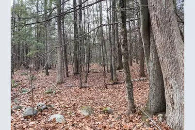 Lt 55 Wendell Rd, New Salem, MA 01355 - Photo 1