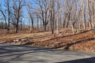 44 Munn Rd, Monson, MA 01057 - Photo 1