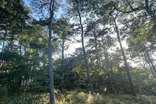 30 Sam Hollow Rd, Wellfleet, MA 02667 - Photo 1