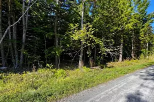 0 Gentian Hollow Rd, Becket, MA 01223 - Photo 1