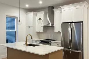 10 Rockland St, Boston, MA 02119 - Photo 1