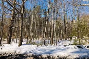 0 Royalston Rd, Phillipston, MA 01331 - Photo 1