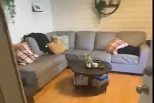 166 W Sixth St, Boston, MA 02127 - Photo 1