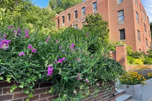 311 Tappan St, Brookline, MA 02445 - Photo 1