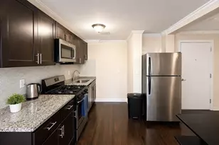 435 Walnut Ave, Boston, MA 02119 - Photo 1