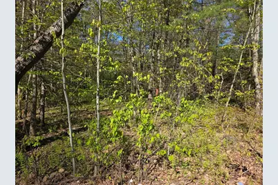 Lot 14 West St, Ludlow, MA 01056 - Photo 1