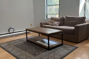 20 Linwood St, Boston, MA 02119 - Photo 1