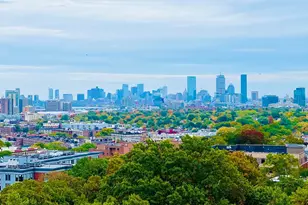 One Nevins Hill Way, Boston, MA 02135 - Photo 1