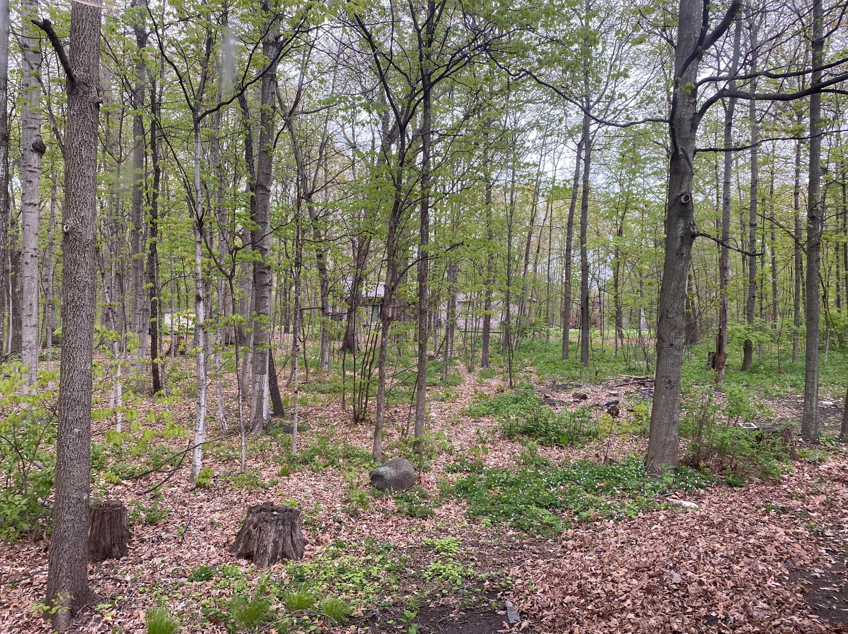 28902 Grove Ln, Waterford, WI 53185