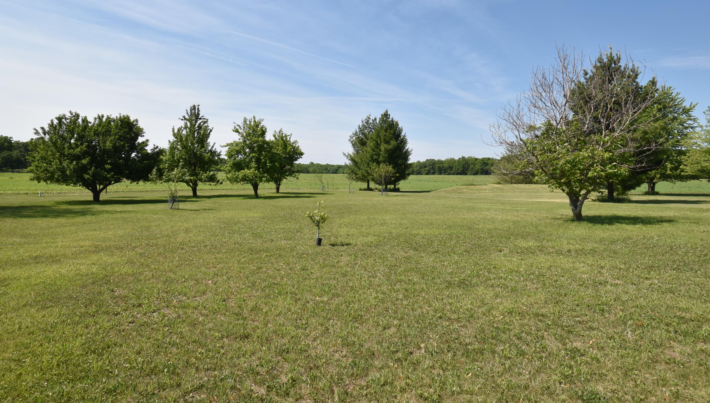 14715 Braun Rd, Sturtevant, WI 53177