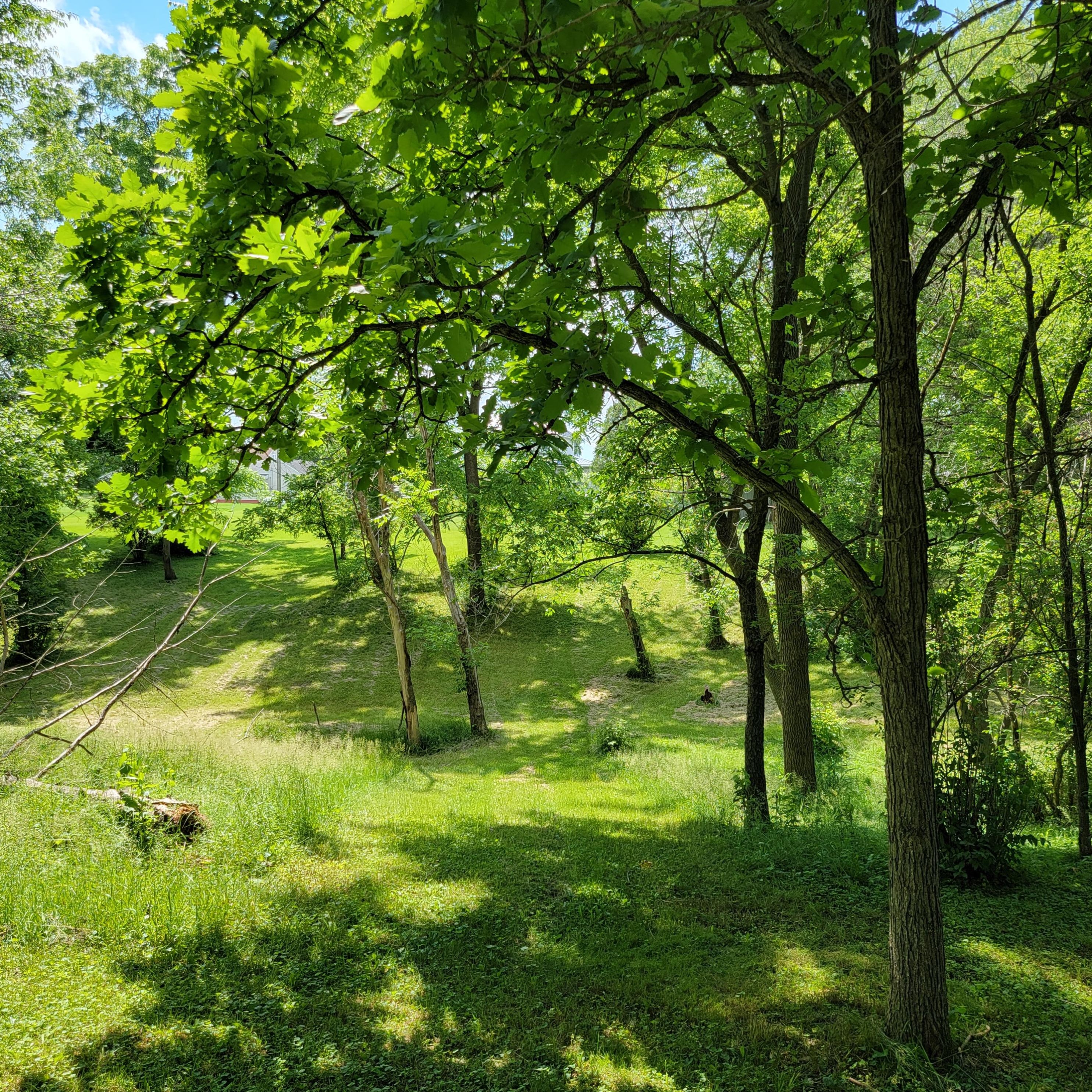 804 Washington St, Melrose WI 54642-7300 exterior