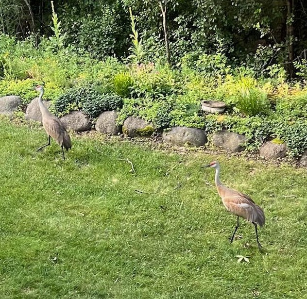 303 Parkview Ct, Chenequa WI exterior