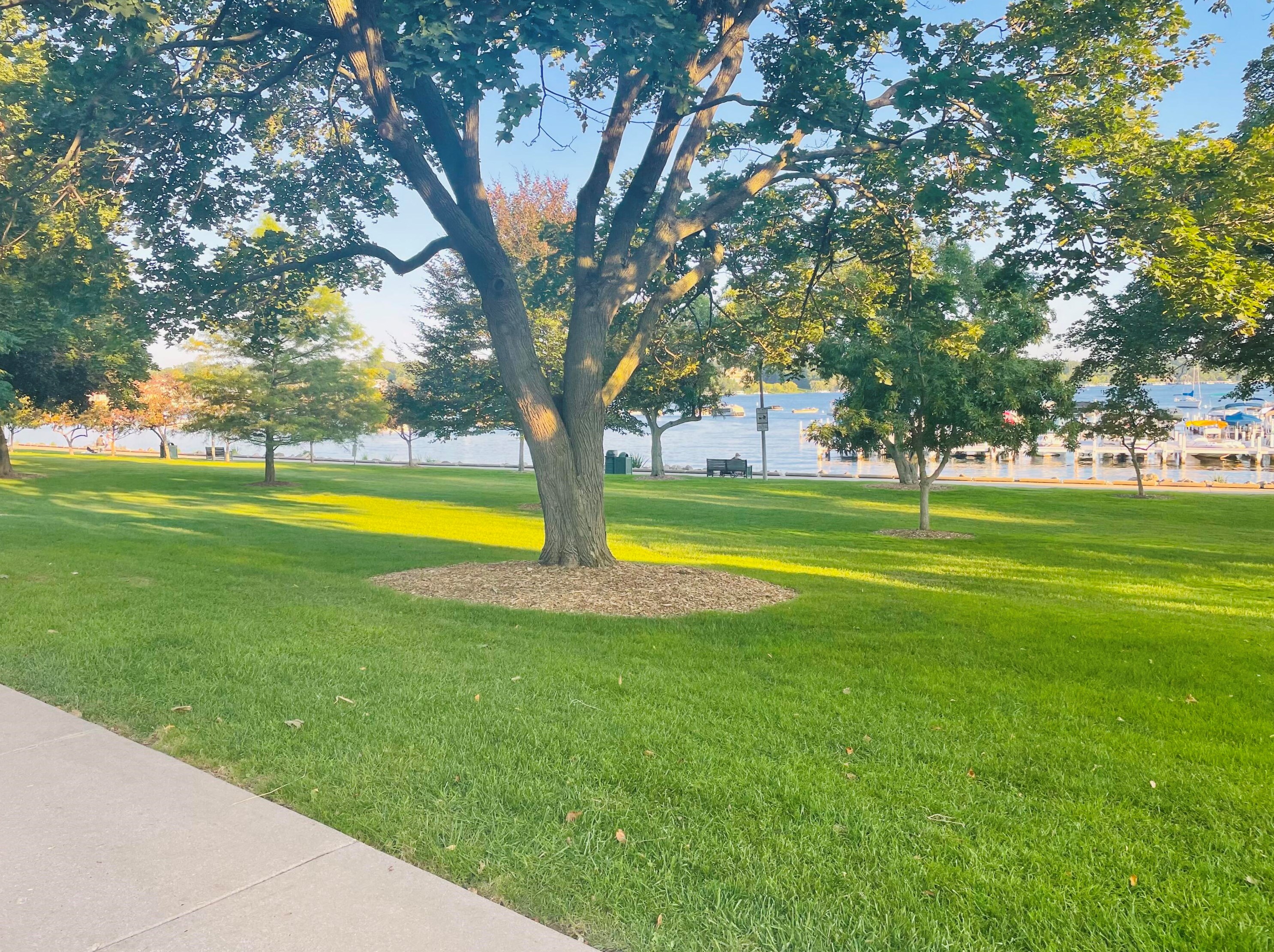 1321 W Main St #104, Lake Geneva, WI 53147