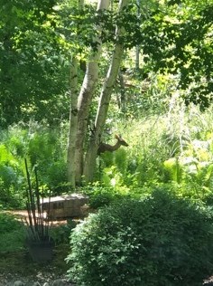 4702 Willow Creek Ln, Sheboygan WI  53083-2158 exterior