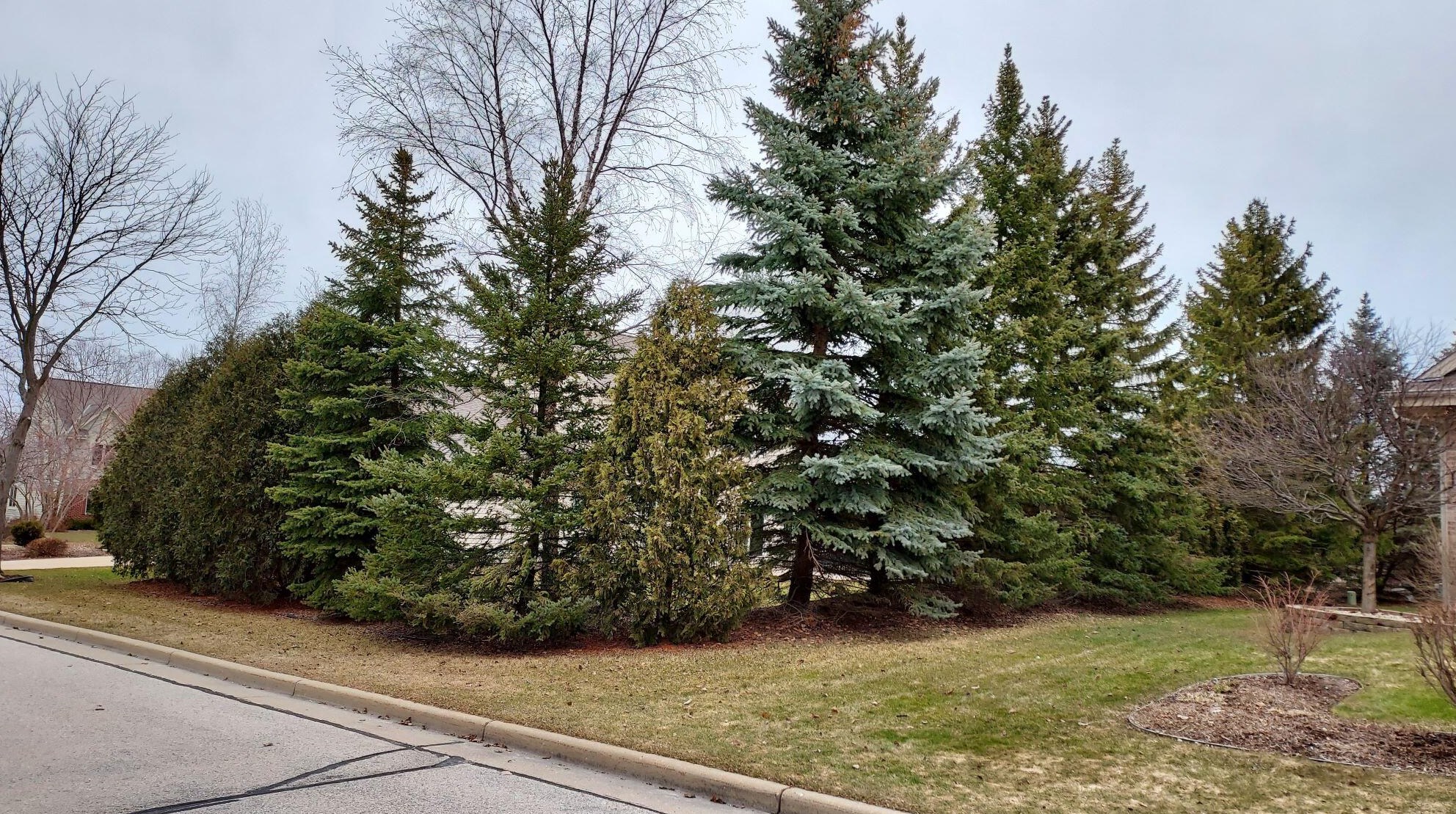 8157 Woodfield Dr, Hales Corners WI  53132-8386 exterior