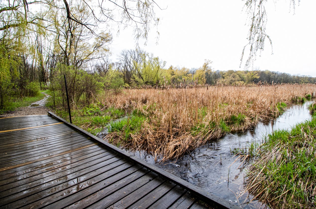 4150 143rd St, Brookfield WI  53005-1104 exterior