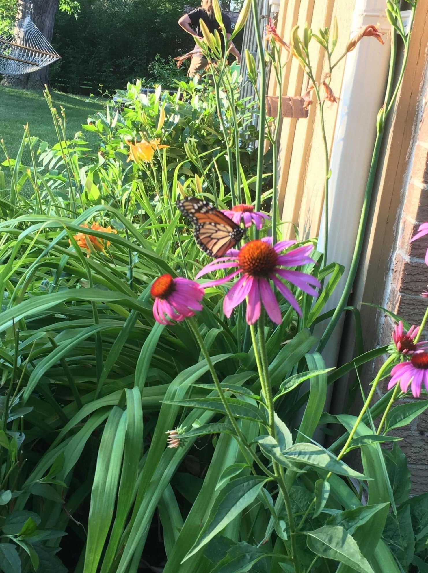 4617 109, Milwaukee WI 53225-4405 exterior