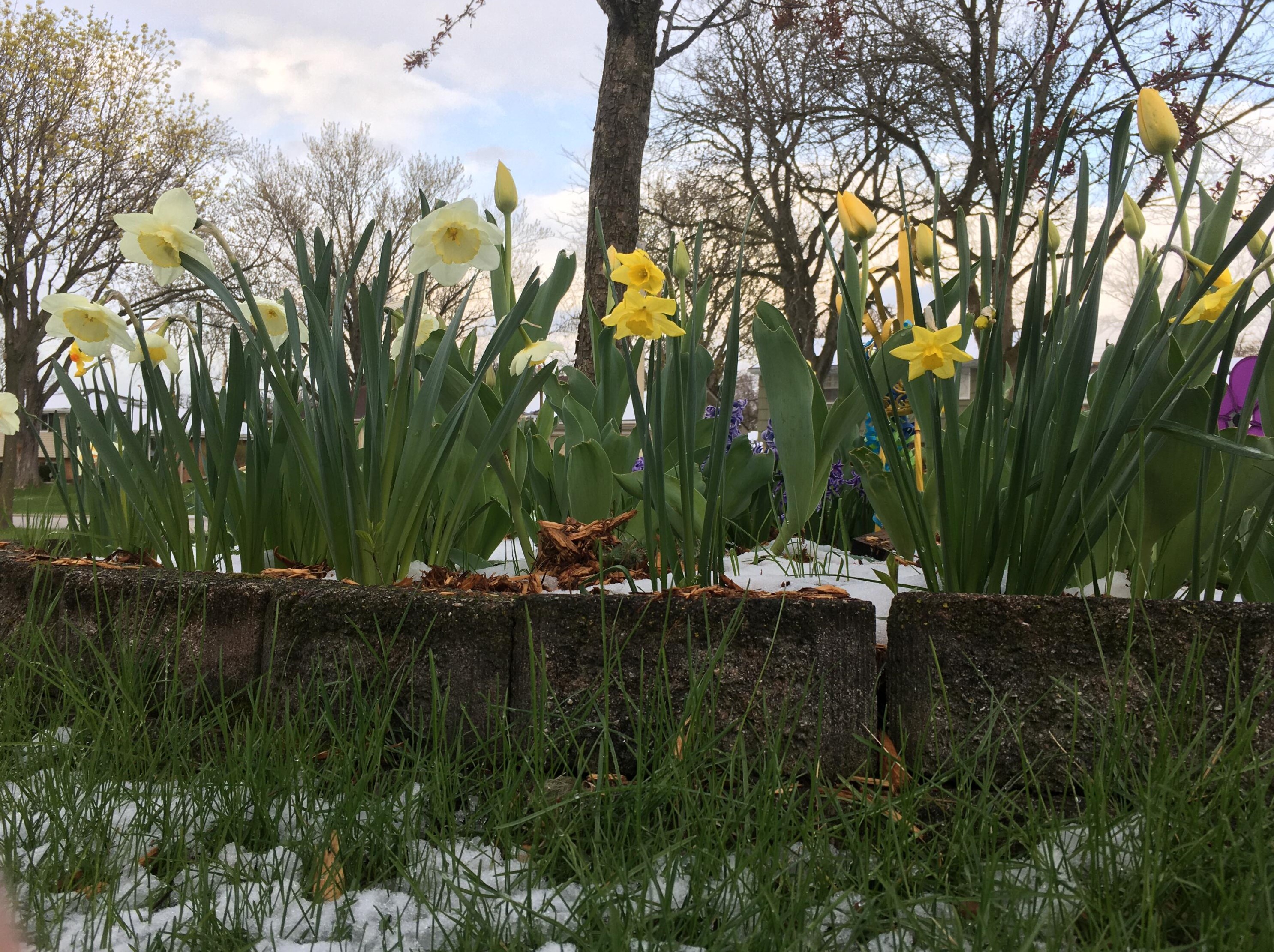 4617 109, Milwaukee WI 53225-4405 exterior