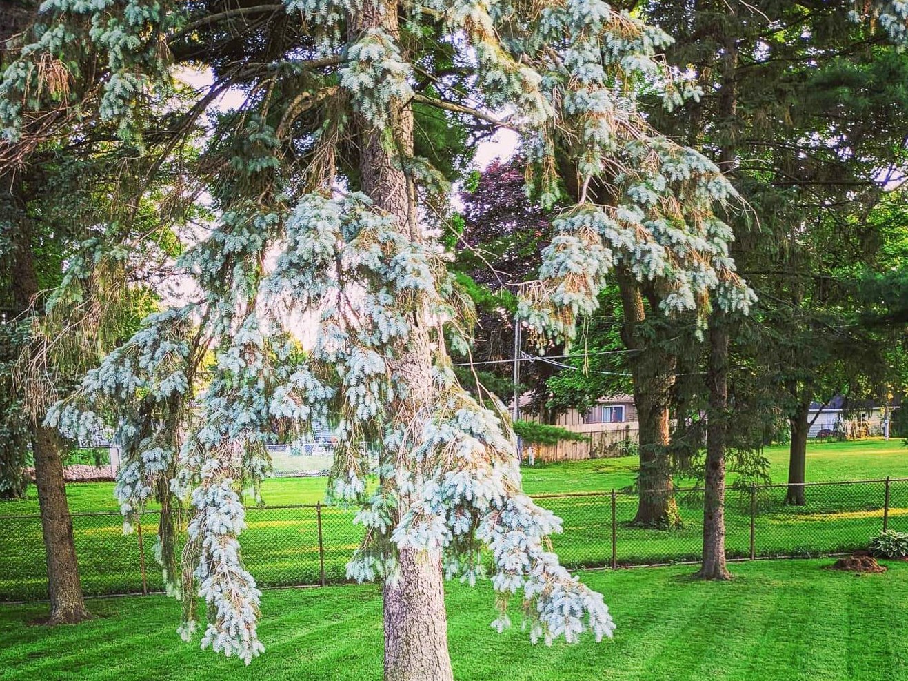 2710 James Blvd, Racine WI 53403-3250 exterior