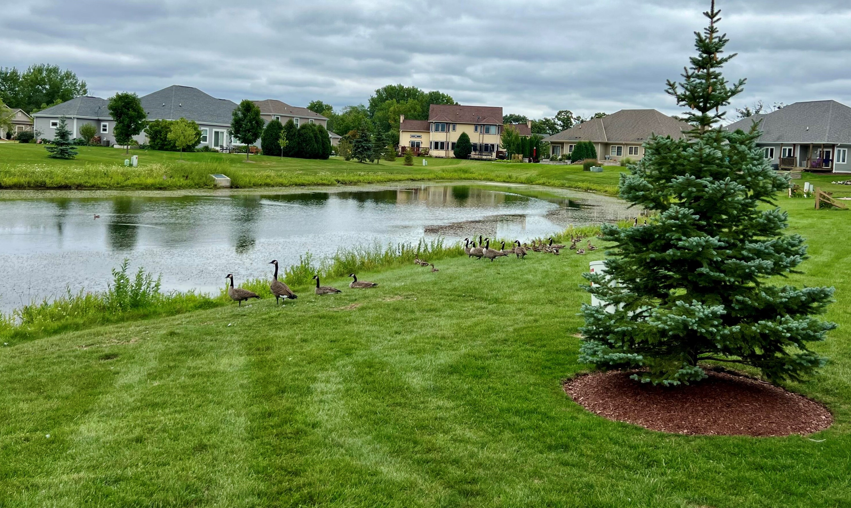 8984 Cordgrass Cir, Hales Corners, WI 53132-7203