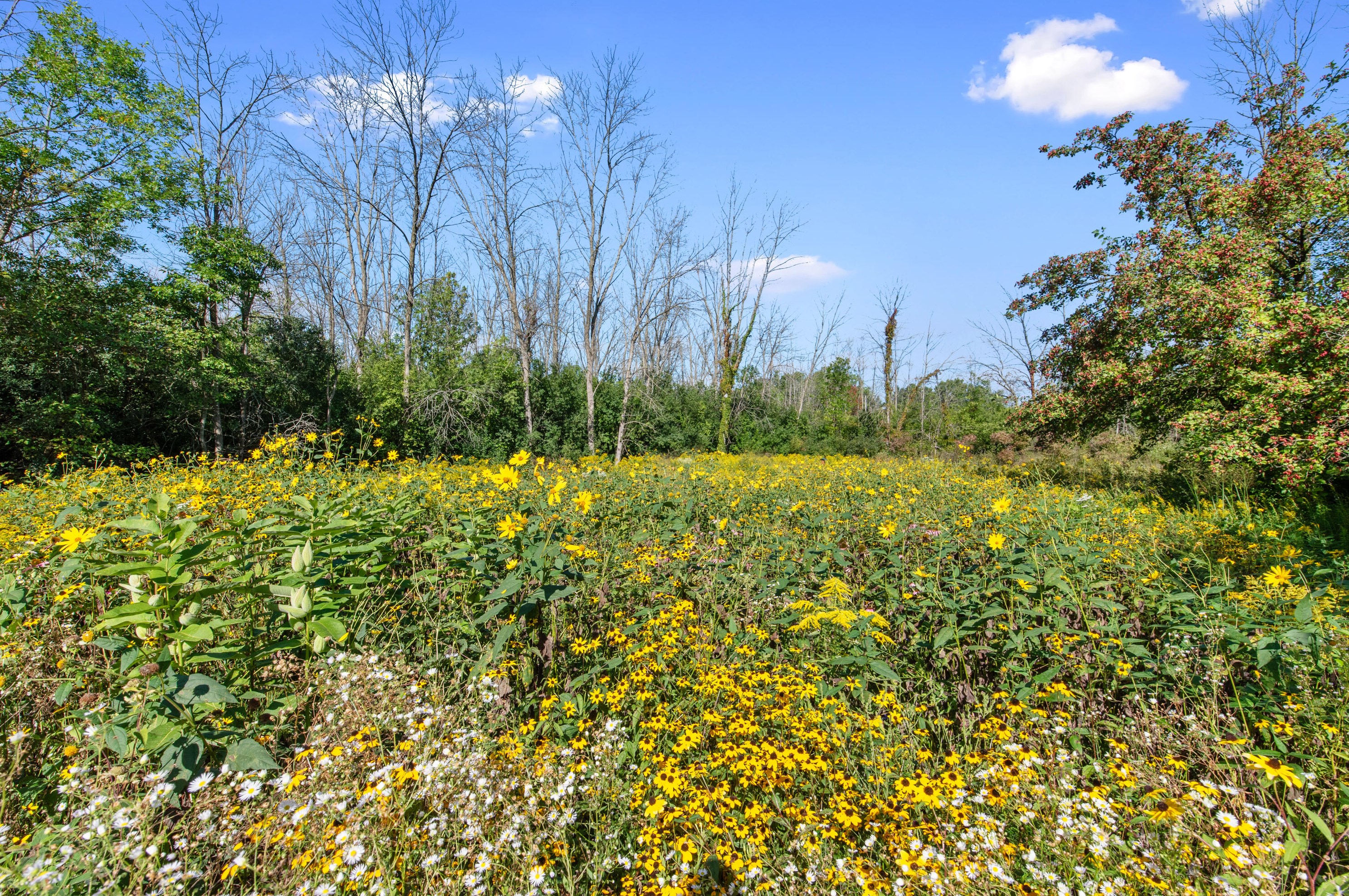 9555 Range Line Rd, Milwaukee WI 53209-2619 exterior