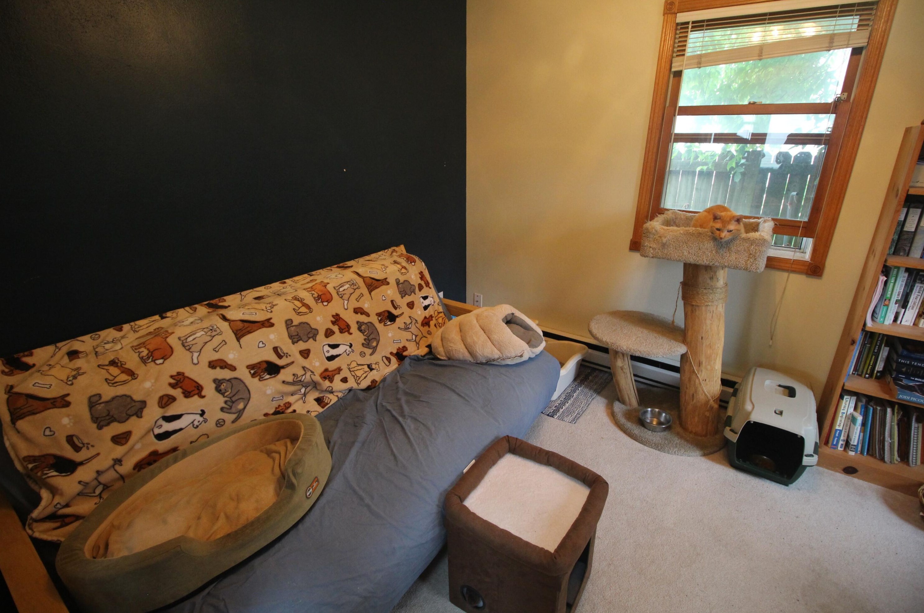 5736 Swift Ave, Cudahy WI  53110-2737 exterior