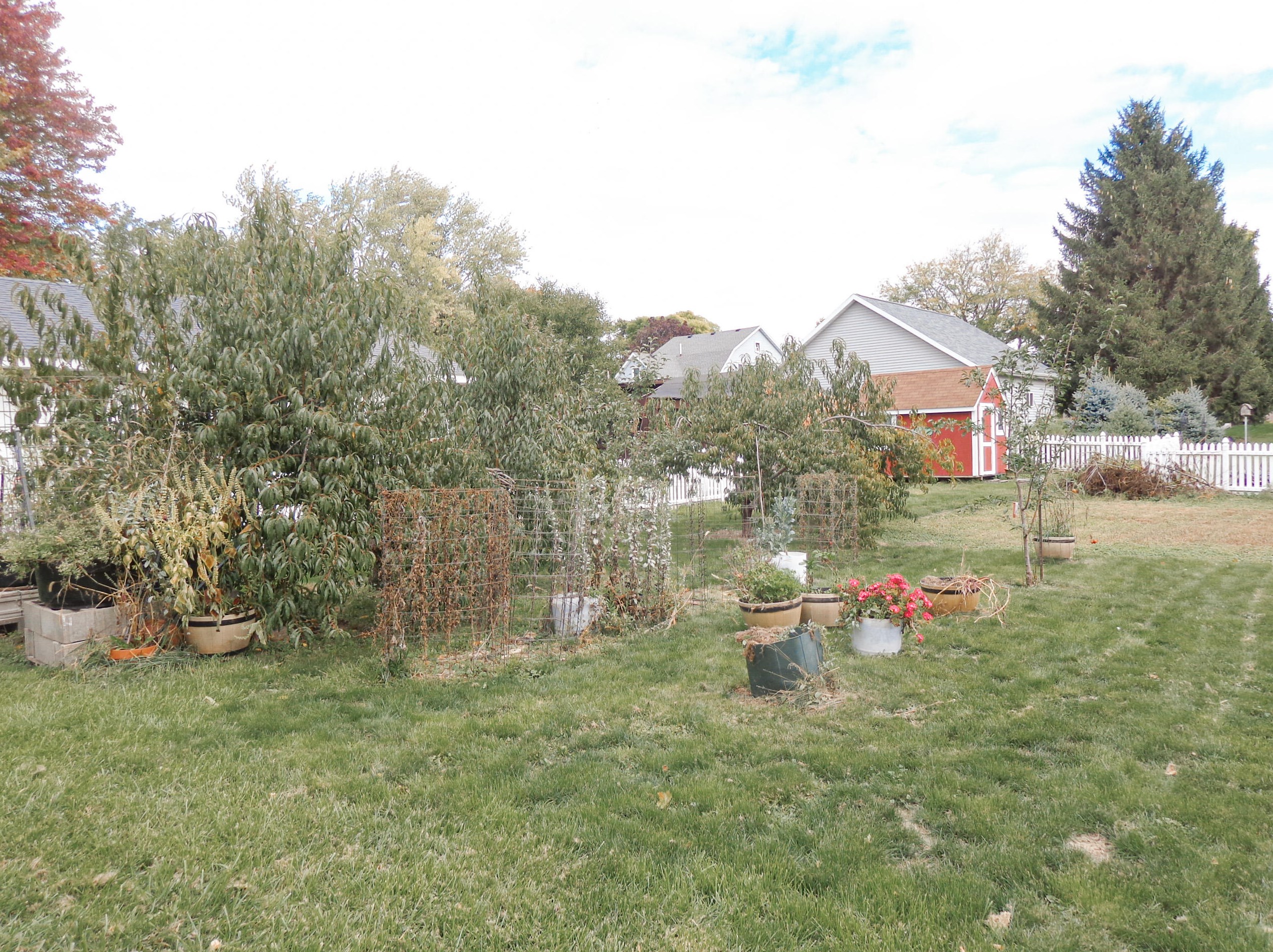 80 Rankin St, Fort Atkinson WI  53538-1649 exterior