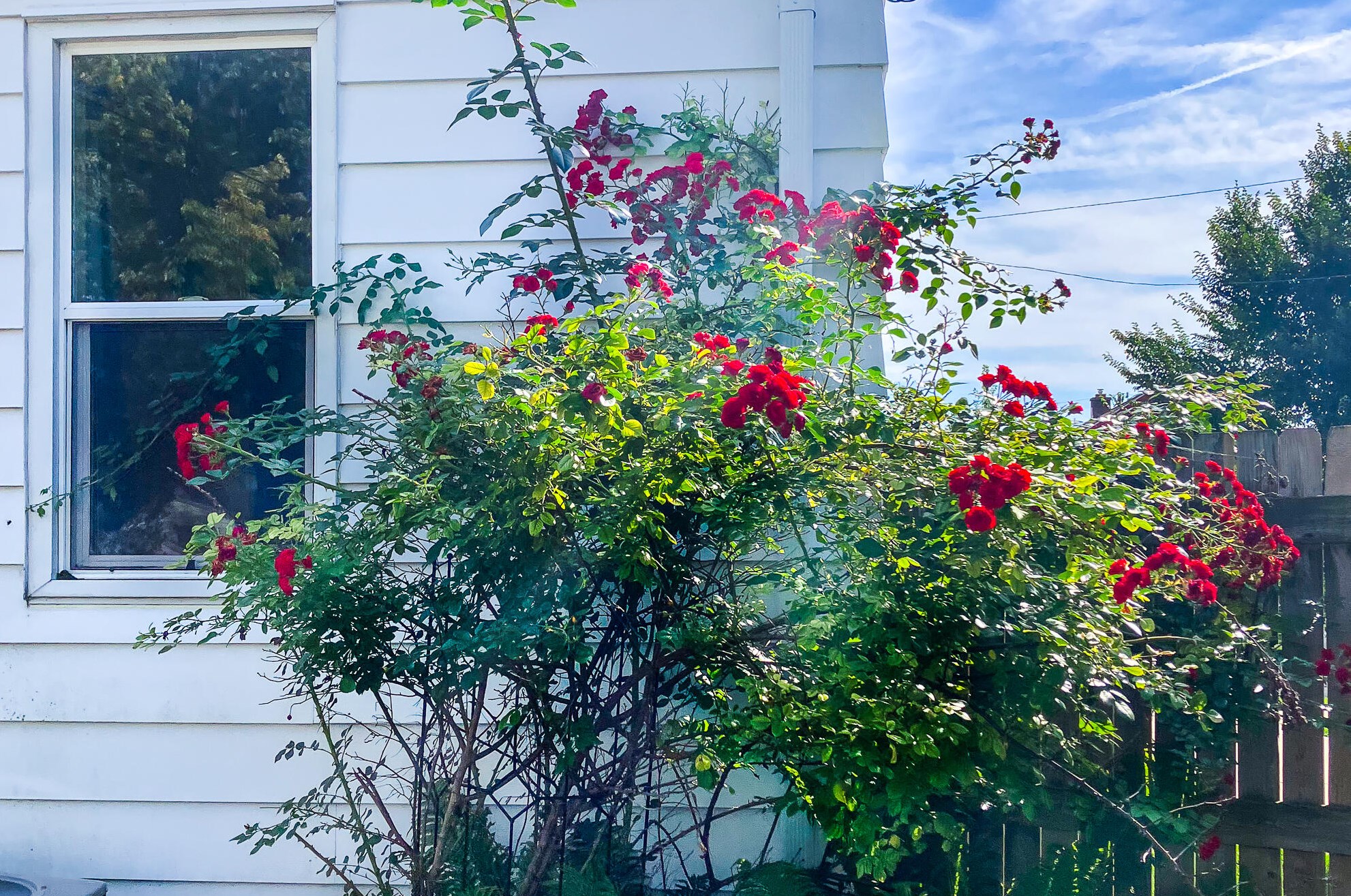 1238 Jones Ave, Racine WI 53402-4524 exterior