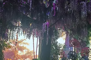 11430 W North Ave, Apple Valley, WI 53226 - Photo 10