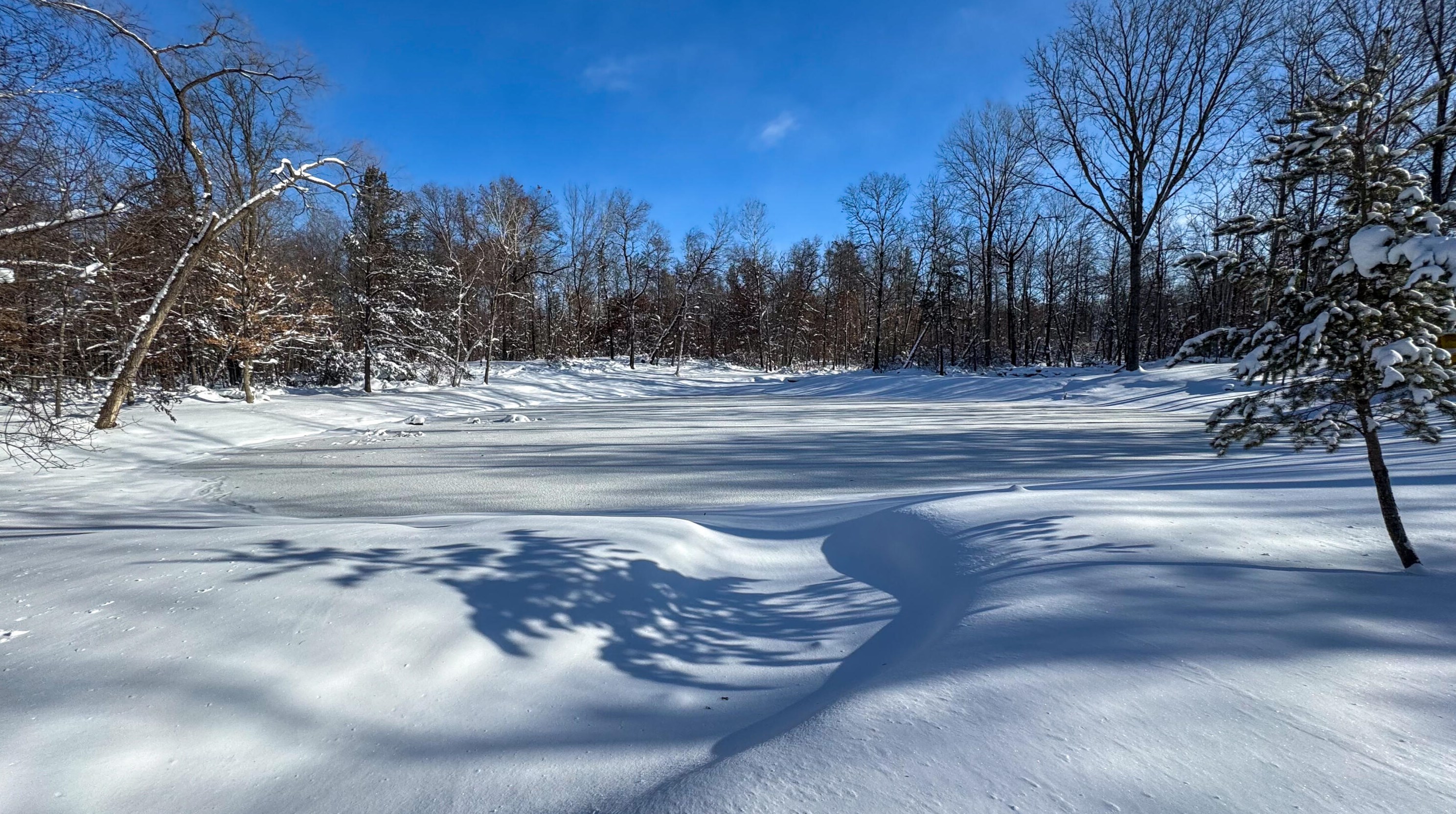 2245 15th Dr, Friendship, WI 53934-9378