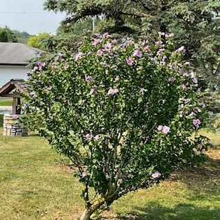 3722 Mary Ann Dr, Hales Corners WI  53132-9319 exterior