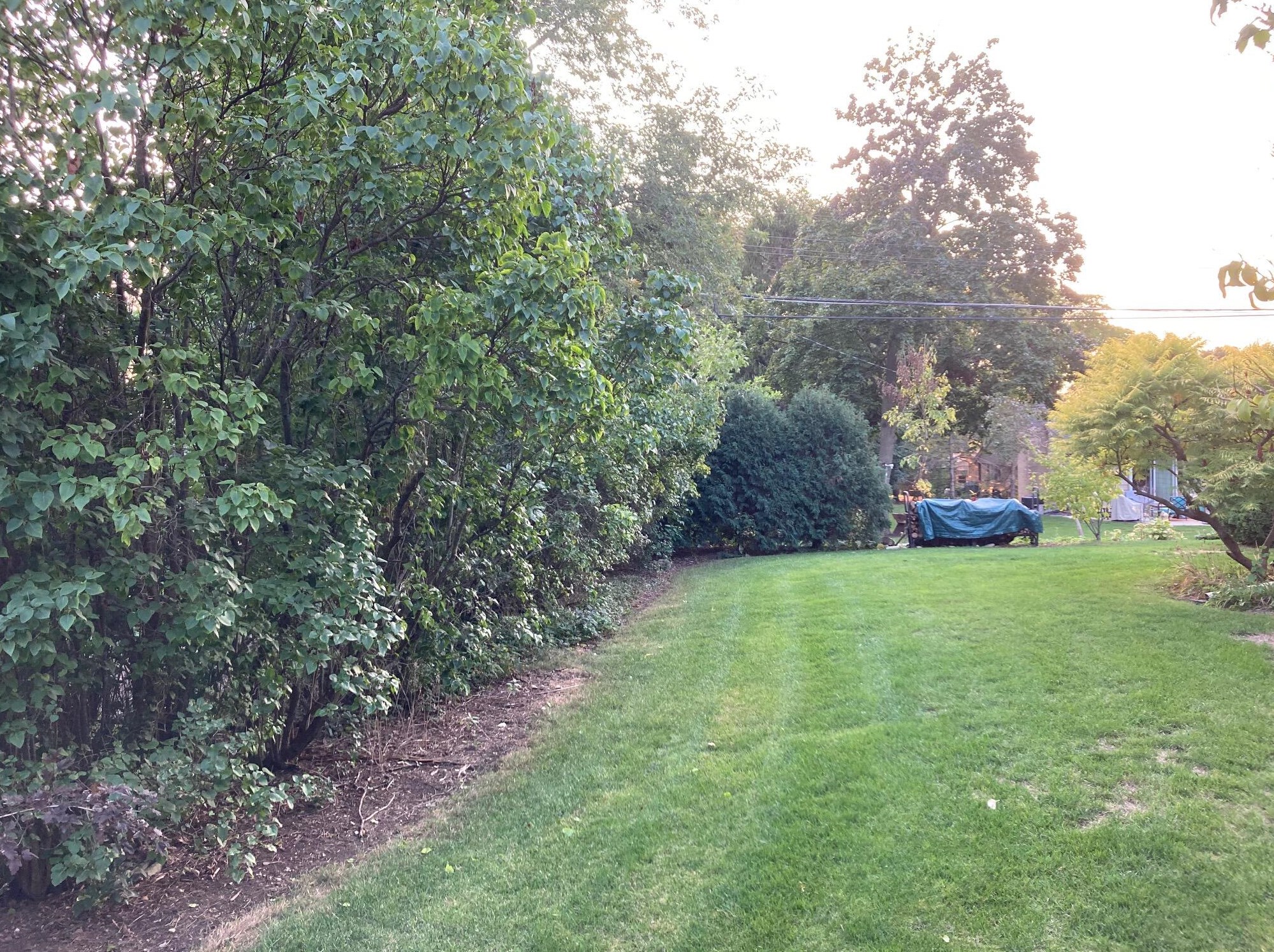 4515 Coral Dr, Brookfield WI  53045-1326 exterior