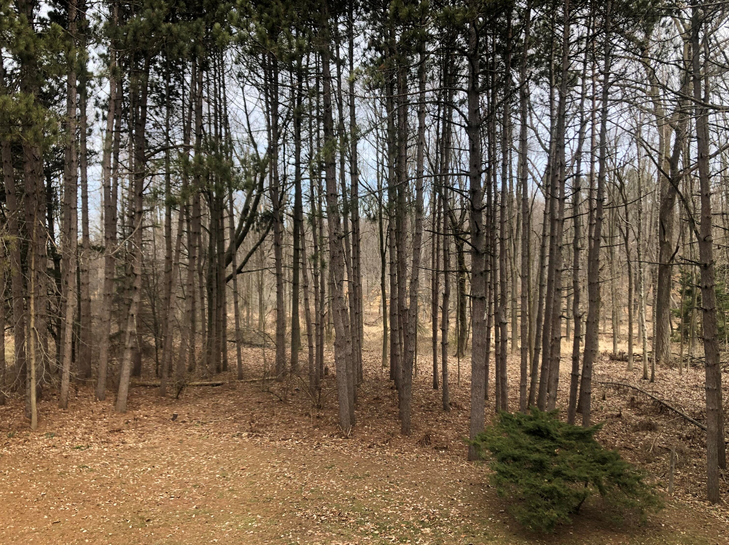 1314 Stahl Rd, Sheboygan WI 53081-8894 exterior