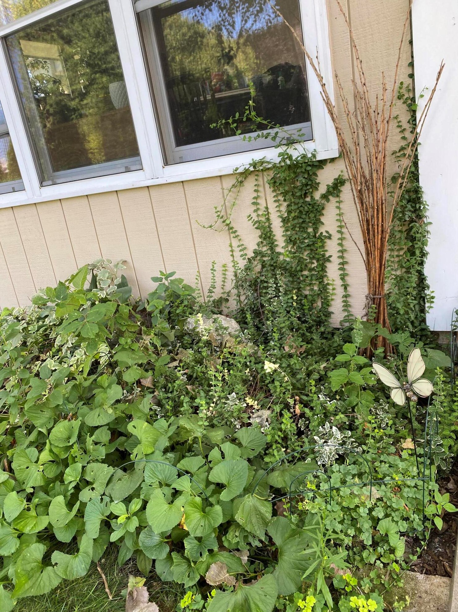 1636 Fairfield Ct, Milwaukee WI  53209-3433 exterior