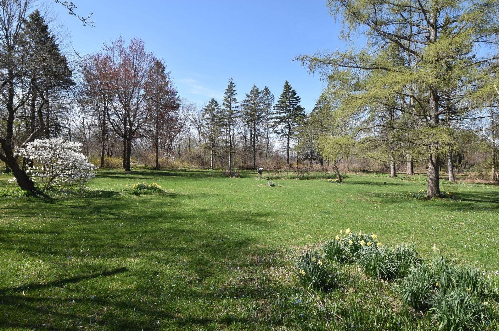 8925 W Meadow Ln, Hales Corners, WI 53132