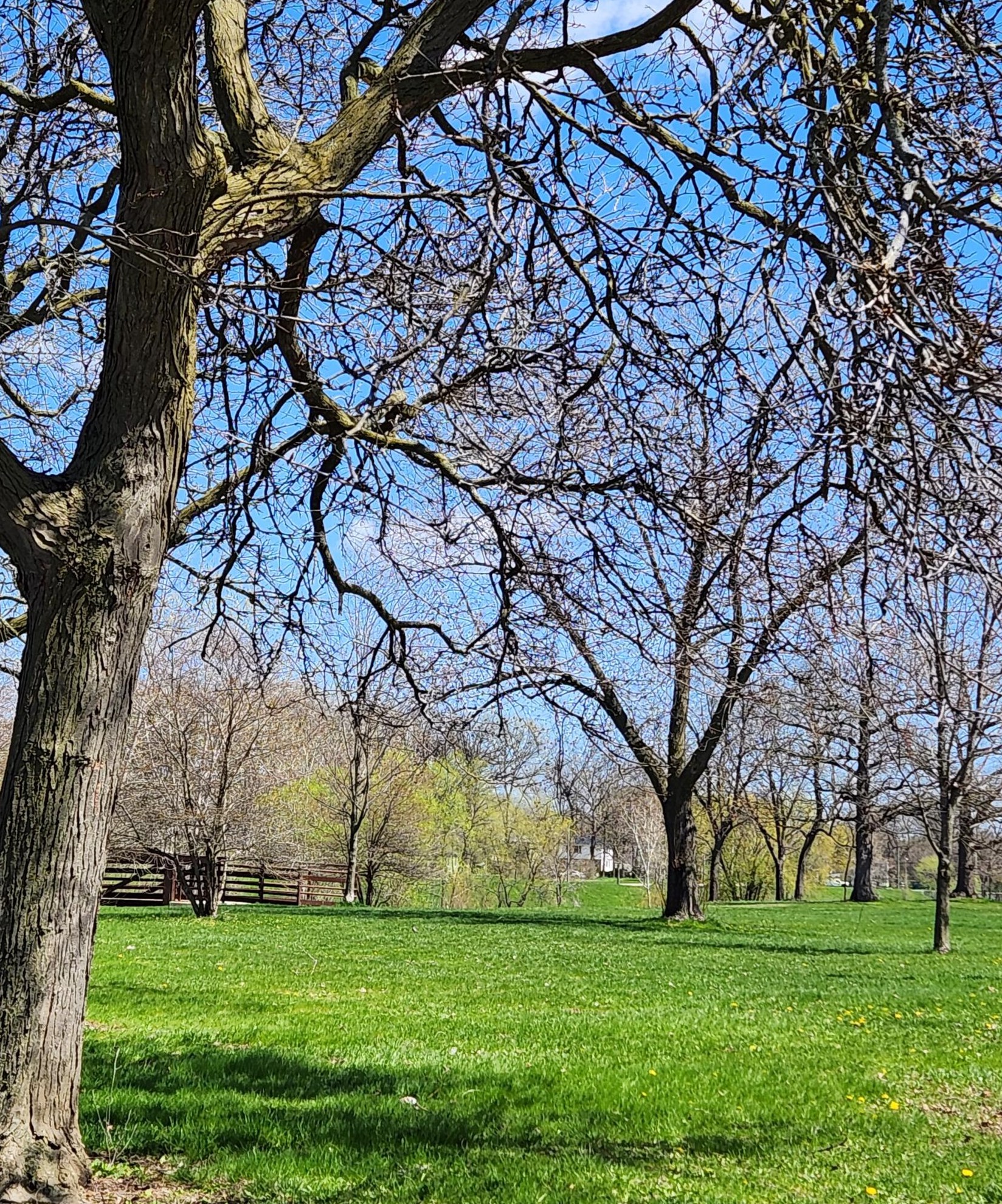 4472 56, Milwaukee WI 53218-5606 exterior