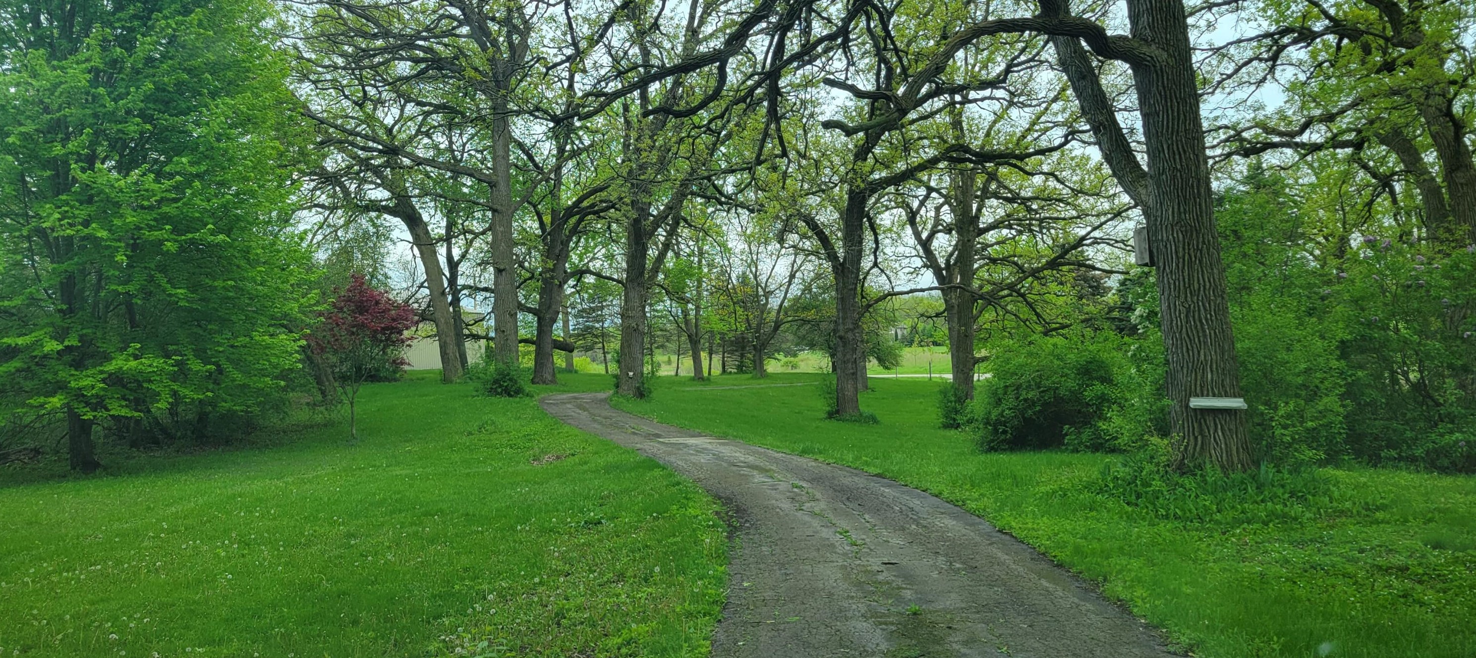 29310 Plank Rd, Lyons, WI 53105