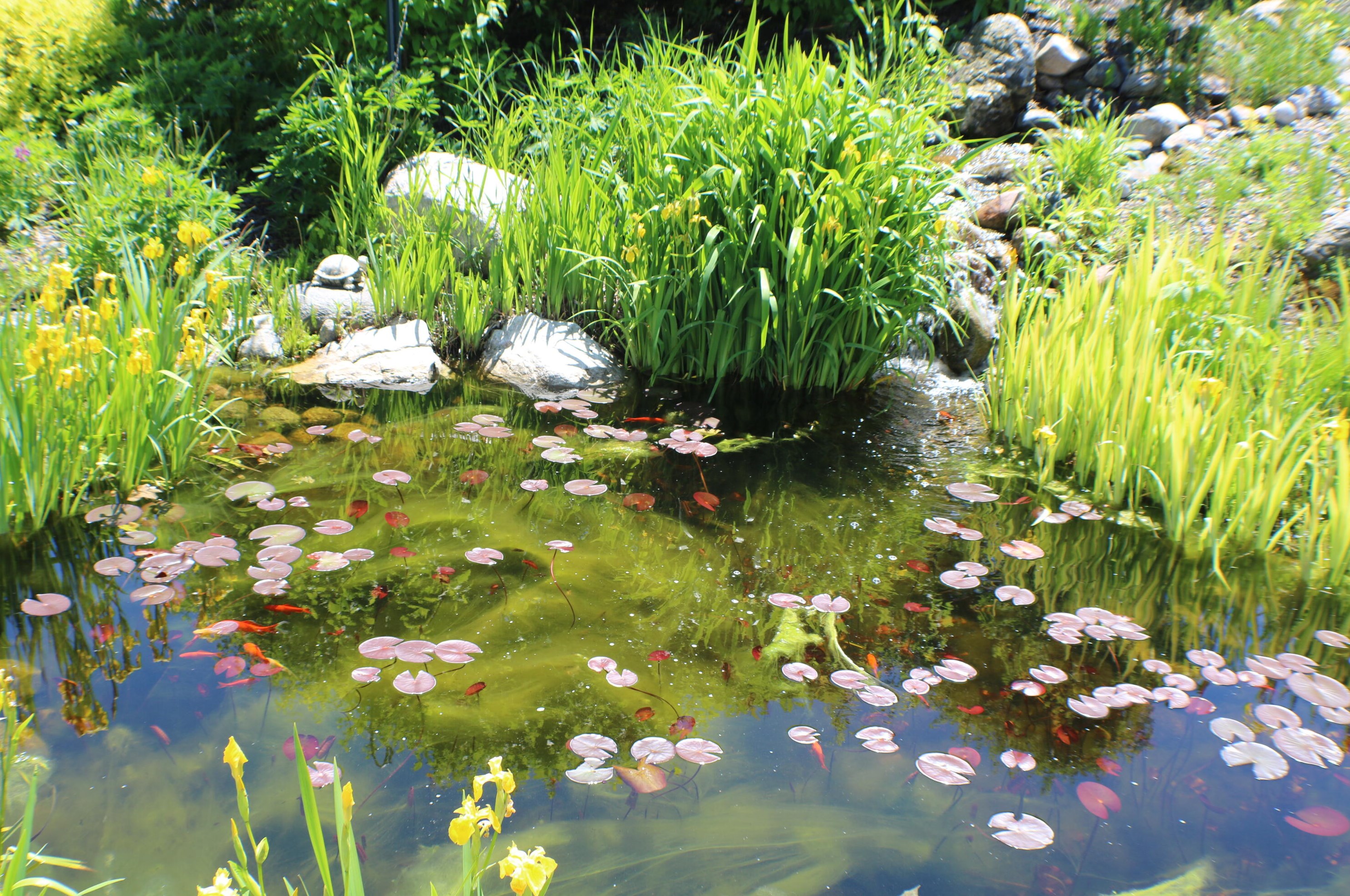 4801 Veranda Ct, Manitowoc WI 54220-8318 exterior